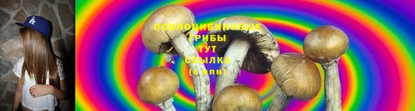 мдпв Лабытнанги