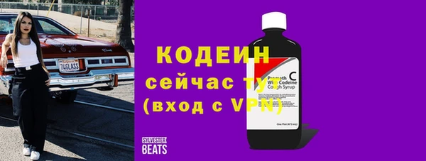 мдпв Лабытнанги