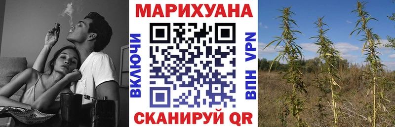 Каннабис индика  закладка  Северская 